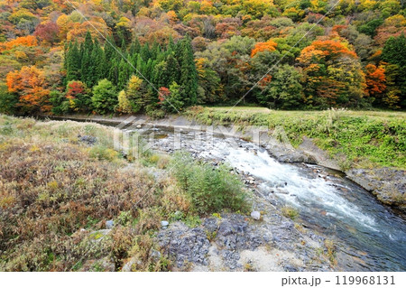 南会津を流れる清流 伊南川沿いの紅葉 119968131