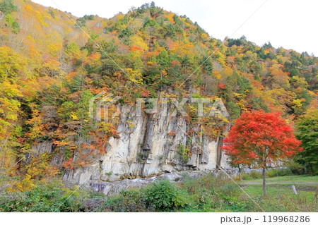 屛風岩の紅葉/福島県南会津町 屛風岩の紅葉/福島県南会津町 119968286