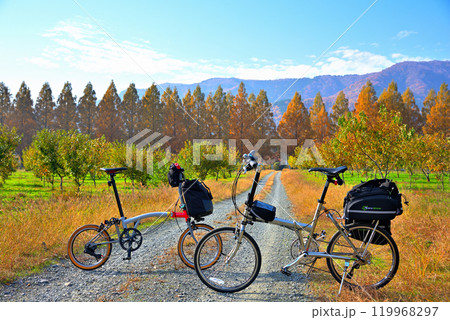 《滋賀県》マキノメタセコイア並木の紅葉と自転車 119968297