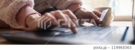 Low angle closeup view of female hands using laptop computer and holding a credit card 119968363
