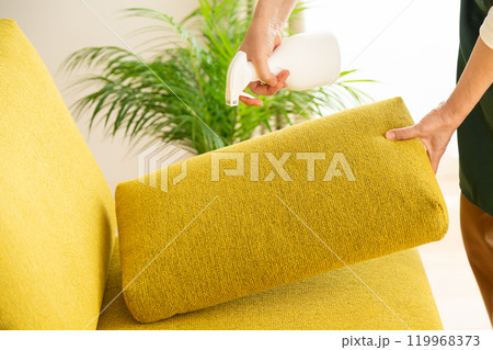 ソファに除菌消臭スプレーをするミドル〜シニア女性 119968373