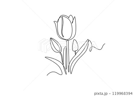 Continuous one line drawing beautiful fresh tulip flower plant. Tropical floral style, love romantic concept for poster, wall decoration ornament. Single line draw design vector graphic illustration 119968394