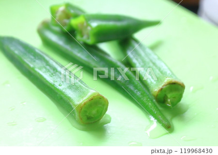 夏野菜シリーズ、オクラ 119968430