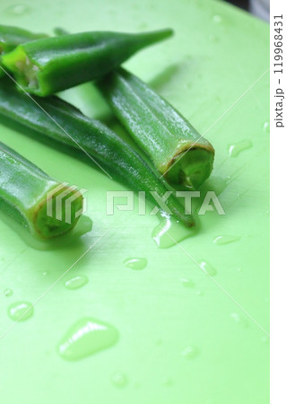 夏野菜シリーズ、オクラ 119968431