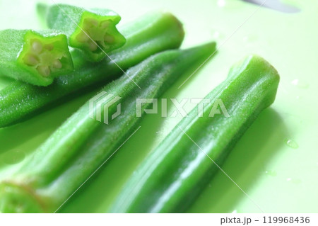 夏野菜シリーズ、オクラ 夏野菜シリーズ、オクラ 119968436