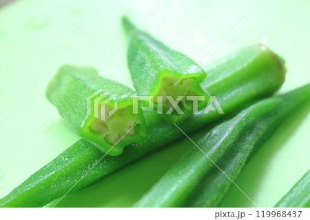 夏野菜シリーズ、オクラ 119968437