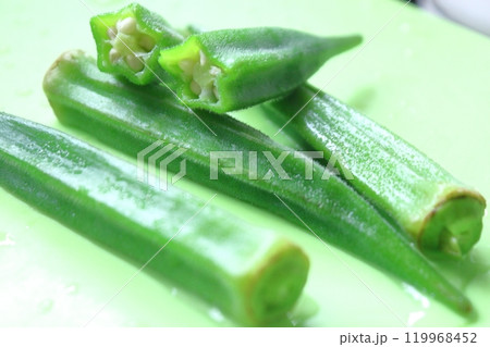 夏野菜シリーズ、オクラ 夏野菜シリーズ、オクラ 119968452