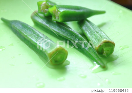 夏野菜シリーズ、オクラ 119968453