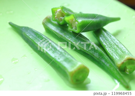 夏野菜シリーズ、オクラ 夏野菜シリーズ、オクラ 119968455
