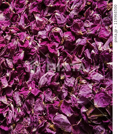 Natural background of rose petals Natural background of rose petals 119968500