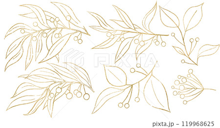 Christmas hand drawn leaves with berries silhouette, golden outlines. Holiday isolated Illustration Christmas hand drawn leaves with berries silhouette, golden outlines. Holiday isolated Illustration 119968625