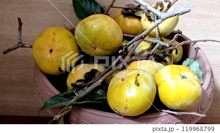 収穫した自家栽培の富有柿 119968799