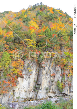 屛風岩の紅葉/福島県南会津町 屛風岩の紅葉/福島県南会津町 119968890