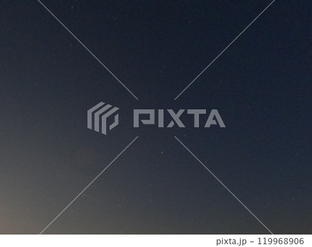 知多郡南知多　桜公園 119968906