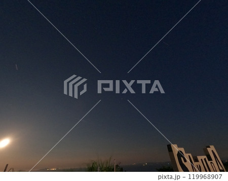 知多郡南知多　桜公園 119968907