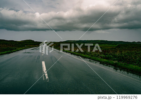 雨上がりの街道 雨上がりの街道 119969276