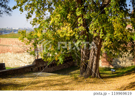 Remains of Historic Belgrade Fortress fortifications in Kalemegdan park in Belgrade, Serbia Remains of Historic Belgrade Fortress fortifications in Kalemegdan park in Belgrade, Serbia 119969619