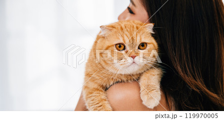 A touching moment captured in this close-up back view, a woman carries her adorable Scottish Fold cat, their eyes speak volumes about the depth of their special bond. Copy space in the background. 119970005