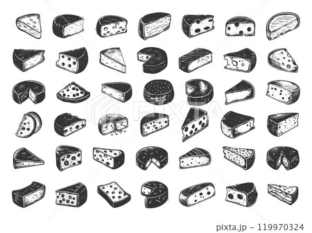 Different Cheese Icons Set Woodcut Vintage Style Black on White Classic Cheese Varieties Including Hard Cheddar Soft Brie Blue Cheese Gouda Swiss Cheese Parmesan Feta Artisanal 119970324