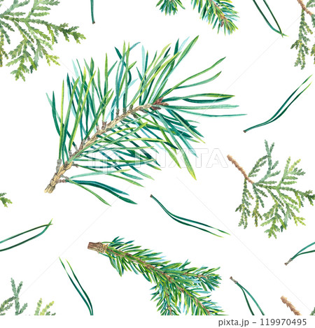 Seamless pattern with pine and fir branch, cedar twig, needles. Hand drawn watercolor illustration of evergreen tree. Background with coniferous twigs for Christmas, New Year decoration, nature print. Seamless pattern with pine and fir branch, cedar twig, needles. Hand drawn watercolor illustration of evergreen tree. Background with coniferous twigs for Christmas, New Year decoration, nature print. 119970495