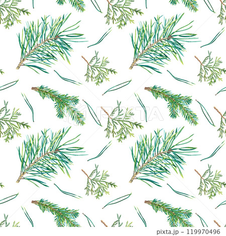 Seamless pattern with pine and fir branch, cedar twig, needles. Hand drawn watercolor illustration of evergreen tree. Background with coniferous twigs for Christmas, New Year decoration, nature print. 119970496