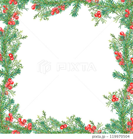 Square frame of spruce green branches, red holly berries, thuja. Hand drawn watercolor illustration of botanical winter elements on isolated background. Template with ilex for holiday greeting cards. 119970504
