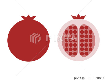 ザクロの正面と断面のアイコンイラスト 119970854