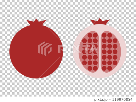 石榴正面和橫斷面圖示說明 119970854