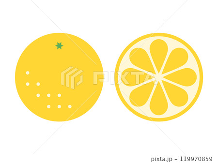 グレープフルーツの正面と断面のアイコンイラスト 119970859