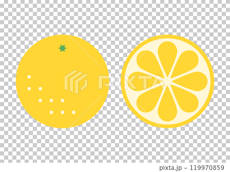 グレープフルーツの正面と断面のアイコンイラスト 119970859