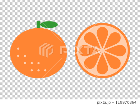柑橘正面和橫截面的圖標說明 119970864