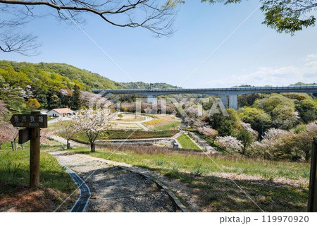 鞍ヶ池公園 動物園 豊田市 鞍ヶ池公園 動物園 豊田市 119970920