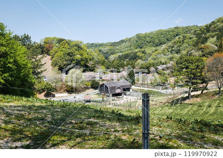 鞍ヶ池公園 動物園 豊田市 鞍ヶ池公園 動物園 豊田市 119970922