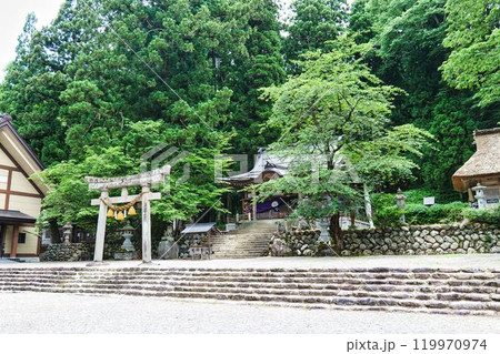 白川八幡神社 白川八幡神社 119970974