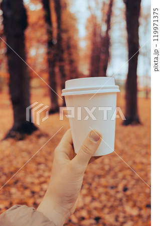 Unrecognizable woman hand holding Eco zero waste white paper cup copy space mockup. Fall leaves and cup of tea coffee to go next to autumn nature. Unite with nature Unrecognizable woman hand holding Eco zero waste white paper cup copy space mockup. Fall leaves and cup of tea coffee to go next to autumn nature. Unite with nature 119971375