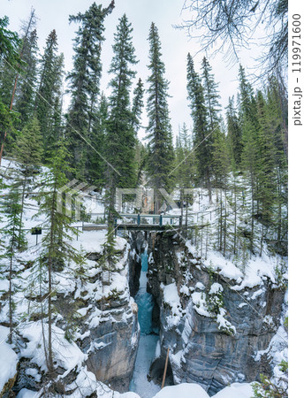 Snow covered in pine forest and gorge at Natural bridge, Yoho national park, Canada Snow covered in pine forest and gorge at Natural bridge, Yoho national park, Canada 119971600