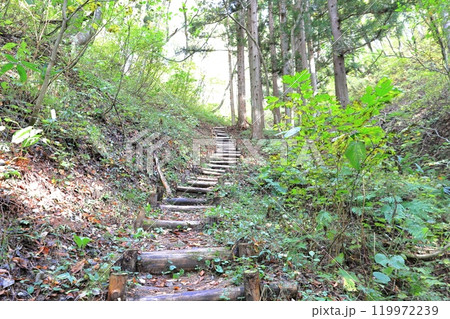 前沢展望台への遊歩道 福島県南会津郡南会津町 前沢展望台への遊歩道 福島県南会津郡南会津町 119972239