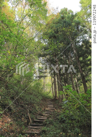前沢展望台えの遊歩道　福島県南会津郡南会津町 119972248
