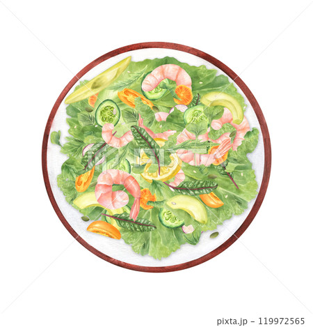 Shrimp salad with avocado, cucumber, tomatoes, greens in bowl watercolor illustration top view. Healthy food concept for recipe, cookbook 119972565