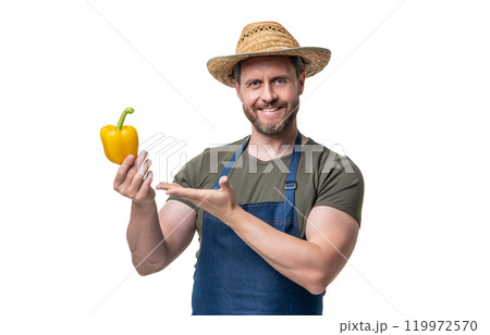man in apron and hat with bell pepper vegetable isolated on white 119972570