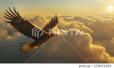 Majestic eagle soaring above the clouds at sunrise with golden light illuminating the sky Majestic eagle soaring above the clouds at sunrise with golden light illuminating the sky 119972884