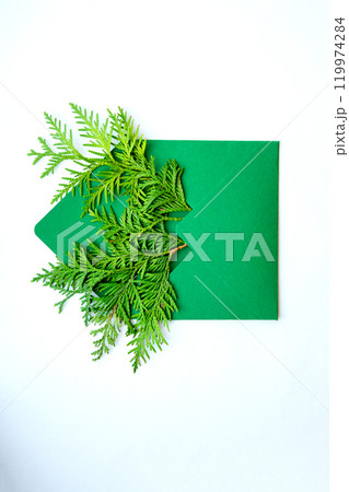 Green envelope adorned with fresh ferns on a clean white background, showcasing nature's beauty in natural decor 119974284