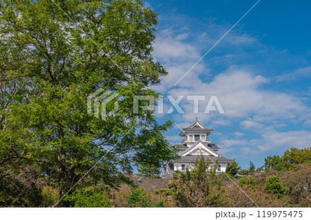 長浜市豊公園　長浜城歴史博物館　滋賀県長浜市 119975475