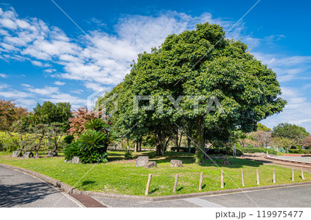 豊公園　長浜城の城跡公園　滋賀県長浜市 119975477