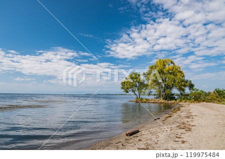 琵琶湖畔風景 滋賀県長浜市 琵琶湖畔風景 滋賀県長浜市 119975484