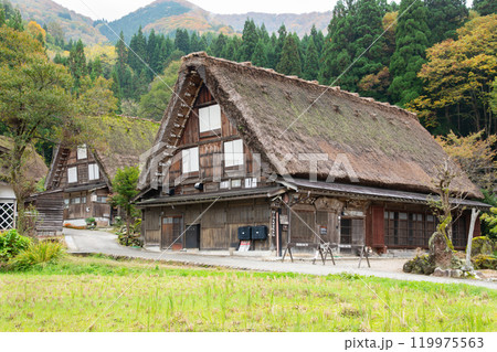 白川郷の合掌造り家屋 白川郷の合掌造り家屋 119975563