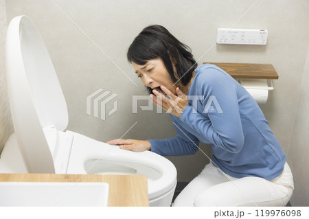 トイレの修理を依頼する女性 トイレの修理を依頼する女性 119976098