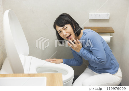 トイレの修理を依頼する女性 トイレの修理を依頼する女性 119976099