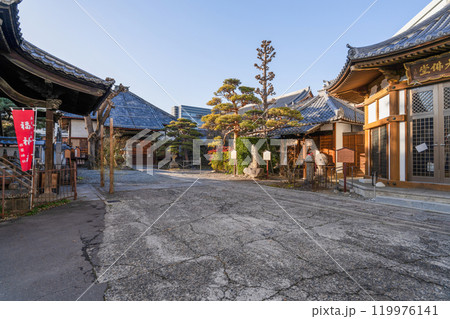 紫雲山　十念寺　境内 119976141