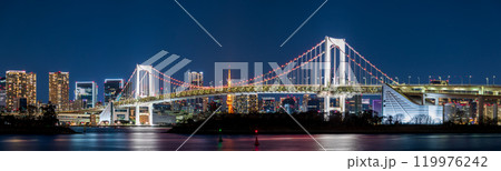 「東京都」お台場から望む東京都市景観　夜景 119976242